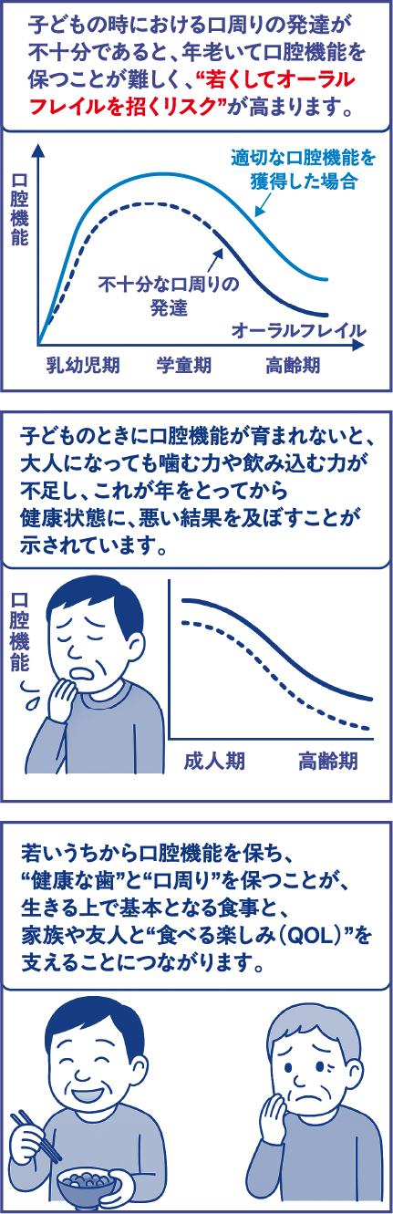 子どもの時における口周りの発達が不十分であると、年老いて口腔機能を保つことが難しく、“若くしてオーラルフレイルを招くリスク”が高まります。子どものときに口腔機能が育まれないと、大人になっても噛む力や飲み込む力が不足し、これが“年をとってからの健康状態に、悪い結果を及ぼすこと”が示されています。若いうちから口腔機能を保ち、“健康な歯”と“口周り”を保つことが、生きる上で基本となる食事と、家族や友人と“食べる楽しみ（QOL）”を支えることにつながります。