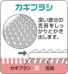 深い部分の舌苔をしっかりとかき出します。